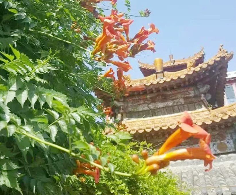 古玩城环境
